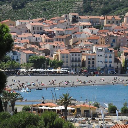 Appartement avec grande terrasse vue sur mer Banyuls-sur-Mer Extérieur photo